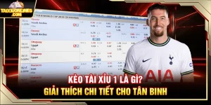 Kèo Tài Xỉu 1 Là Gì? Giải Thích Chi Tiết Cho Tân Binh