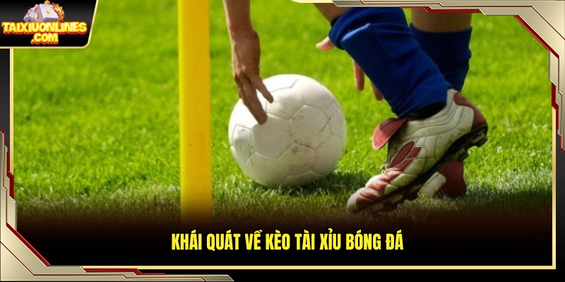 Tổng quan về hình thức cược tài xỉu trong bóng đá