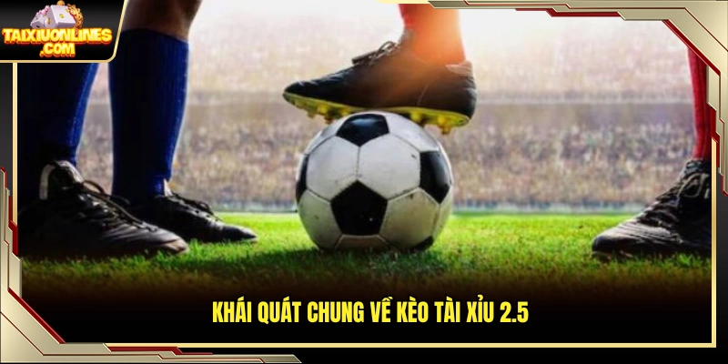 Giới thiệu hình thức cược kèo tài xỉu 2.5