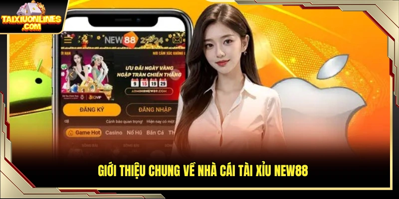 Đôi nét về nền tảng tài xỉu đổi thưởng New88